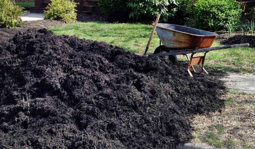 9 Popular Types of Mulch You Should Know and How to Choose the Right One for Your Yard