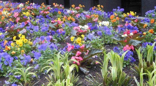 31 Gorgeous Flower Bed Ideas Worth Recreating