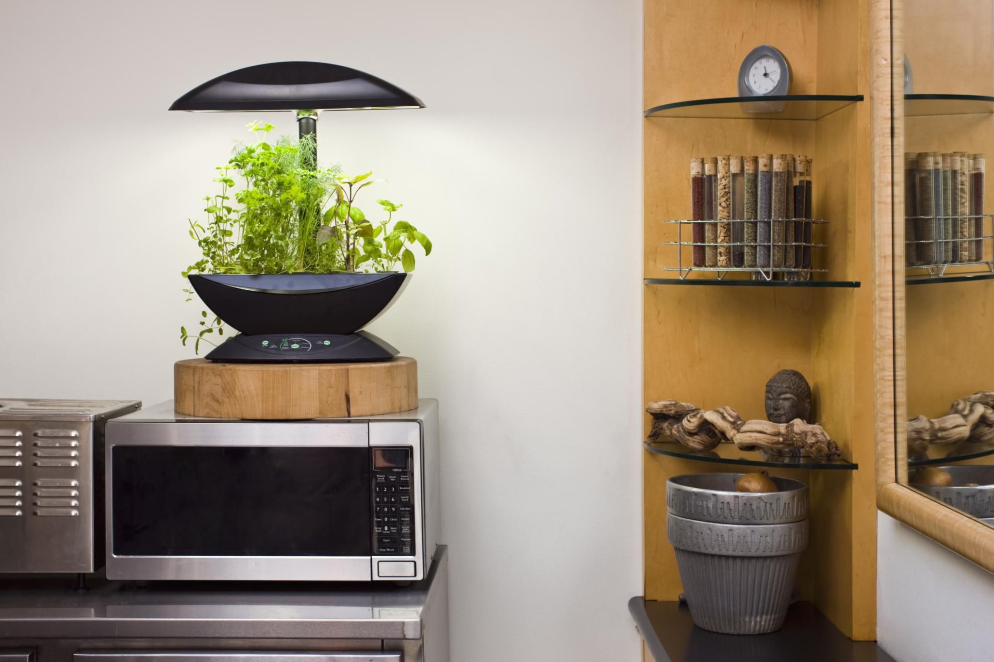 Everything You Need to Know About Hydroponic Lighting