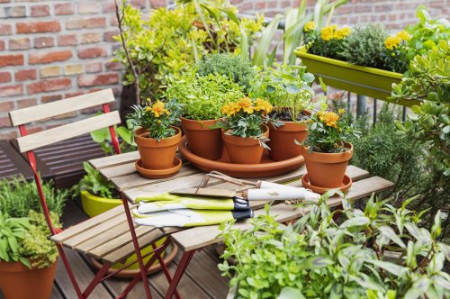 6 Expert-Approved Tips to Grow a Small But Mighty Garden (Even Without Acres of Land)