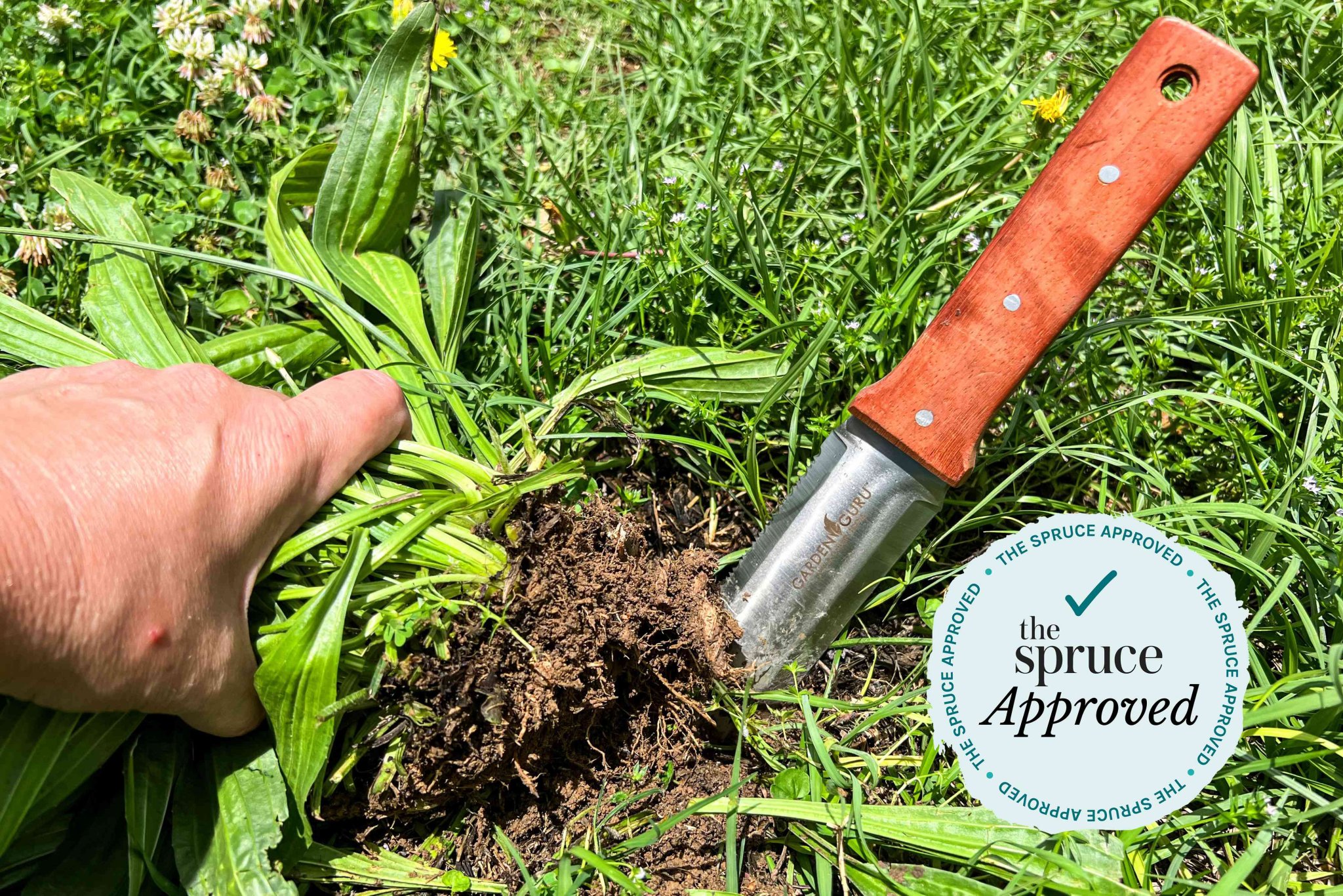 Upgrade your tool shed with new rain gauges, weeding tools, and more. - cover