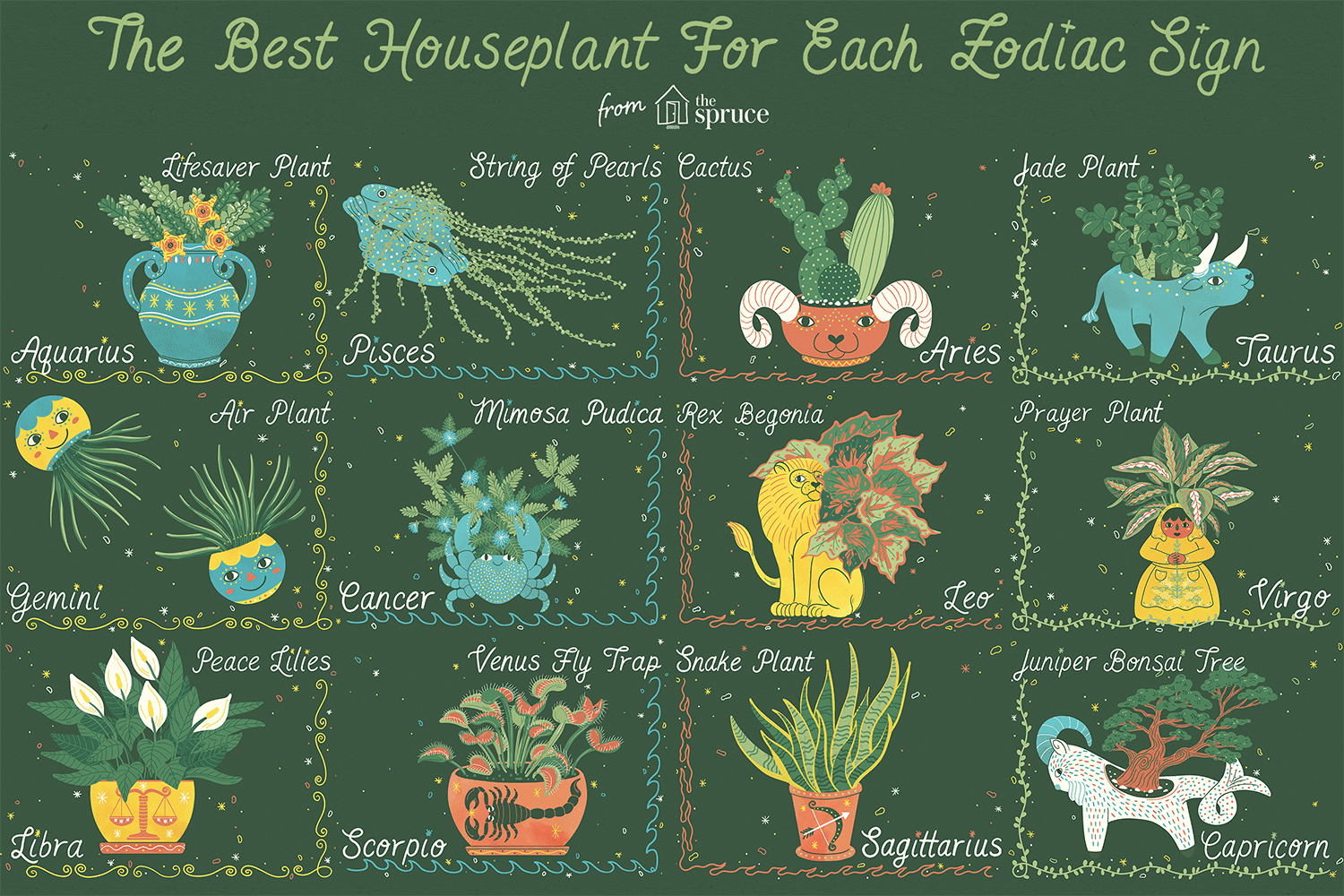 The Best Houseplant for Your Zodiac Sign