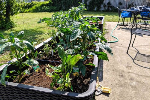 I’ve Been Gardening My Whole Life—This Raised Garden Bed Changed Everything