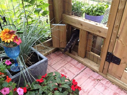 9 Free DIY Catio Plans Your Cats Will Love