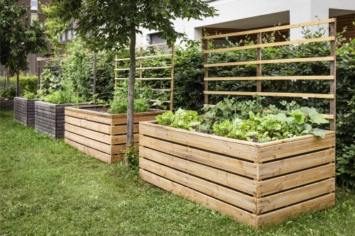 Tired of High-Maintenance Gardening? Permaculture Gardens Practically Run Themselves