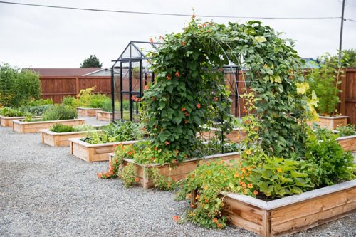 13 Charming Garden Arch Ideas You Can Easily DIY