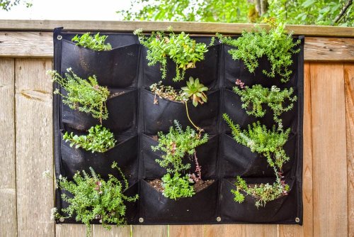 28 Unique DIY Vertical Garden Ideas to Try