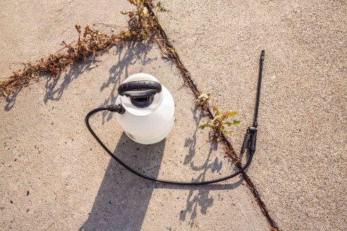 This $10 Magic Cleaner Will Save You From Costly Deck Repairs