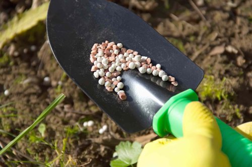 Choosing a Fertilizer Can Be Confusing—How to Select the Right Numbers for Your Plants