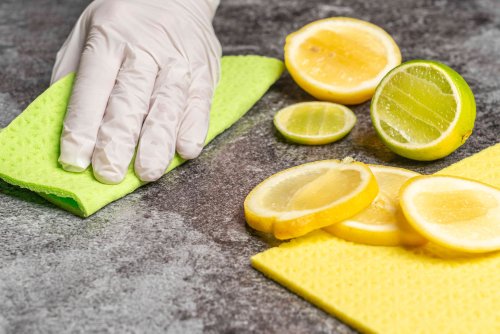 6 Natural Cleaning Tips That Pro Cleaners Actually Recommend to Their Clients