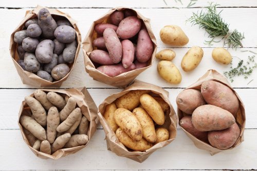 A Definitive Guide to 10 Types of Potatoes