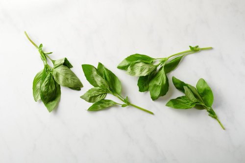 Basil: A Popular Fragrant Herb
