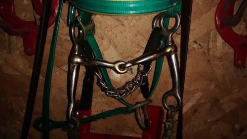Is the Tom Thumb Bit Causing Discomfort to Your Horse?