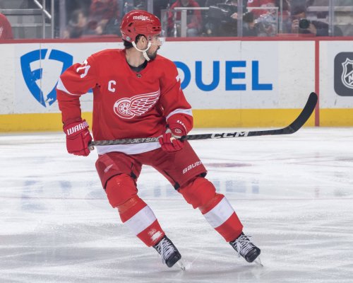 NHL Player Dylan Larkin, Wife Announce Loss Of Their Baby