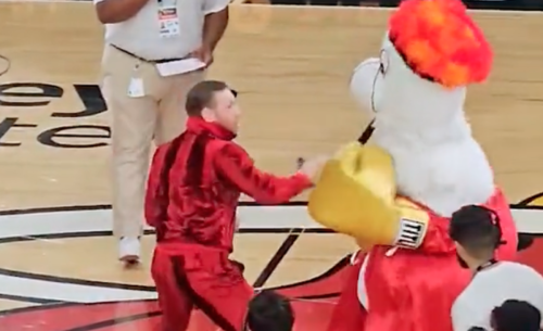 Miami Heat Mascot Was Hospitalized After Punch From Conor McGregor ...