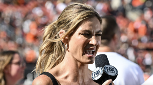 NFL Fans Are Still Obsessed With Erin Andrews' Swimsuit Photo