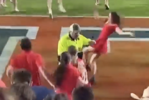 Video Of Security Guard's Hit On Female Ole Miss Fan Goes Viral