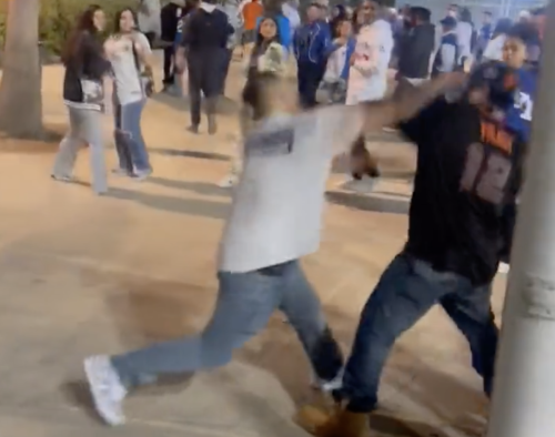 Video: There Was Wild Fight In Parking Lot Of MLB Ballpark | Flipboard