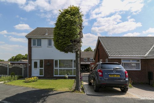 'Petty' Sheffield neighbour goes viral after sawing tree exactly in half over driveway row