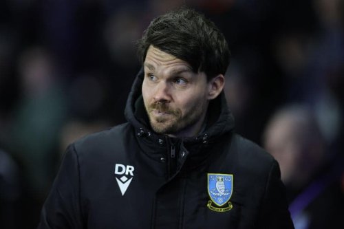 Sheffield Wednesday squad to be finalised for the season as Danny Röhl considers major double return