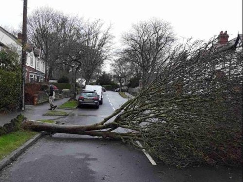 Streets Ahead dealt with ‘unprecedented’ aftermath of storms last winter