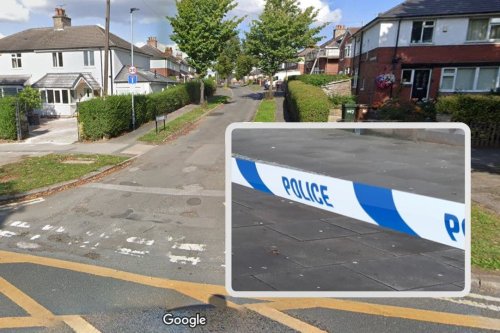 Gang wielding hammers and crowbars rob terrified woman in her home in Herringthorpe, Rotherham