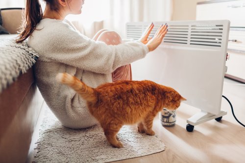These are the best electric heaters to keep you warm no matter what your room size