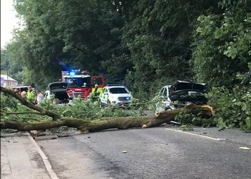 Woman's lucky escape after tree falls 'smack bang' on top of car on Sheffield road