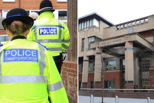 A South Yorkshire prisoner assaulted two officers at a police custody suite