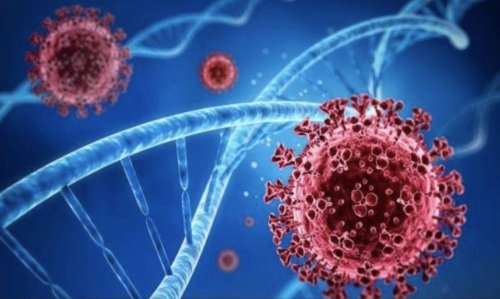 Vaccine white paper: 8.5 million vaccine doses expired in storage
