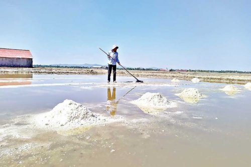 Cambodia expects salt shortage and imports as yield hopes melt away