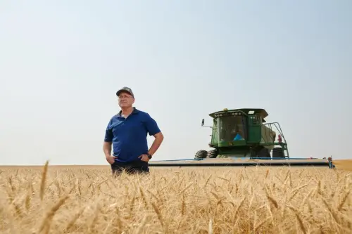 Alberta wheat farmers who prepare fields with glyphosate say their durum isn’t sprayed — and worry about alternatives if controversial product is banned