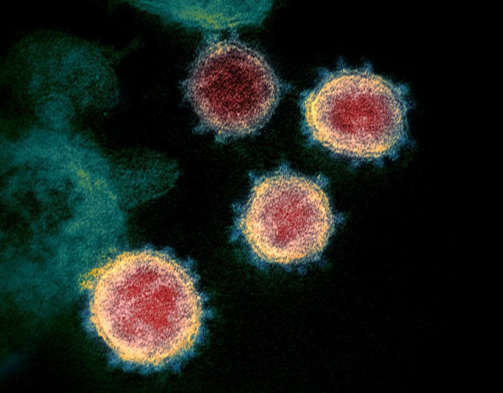 Emerging Diseases And Biological Threats - cover