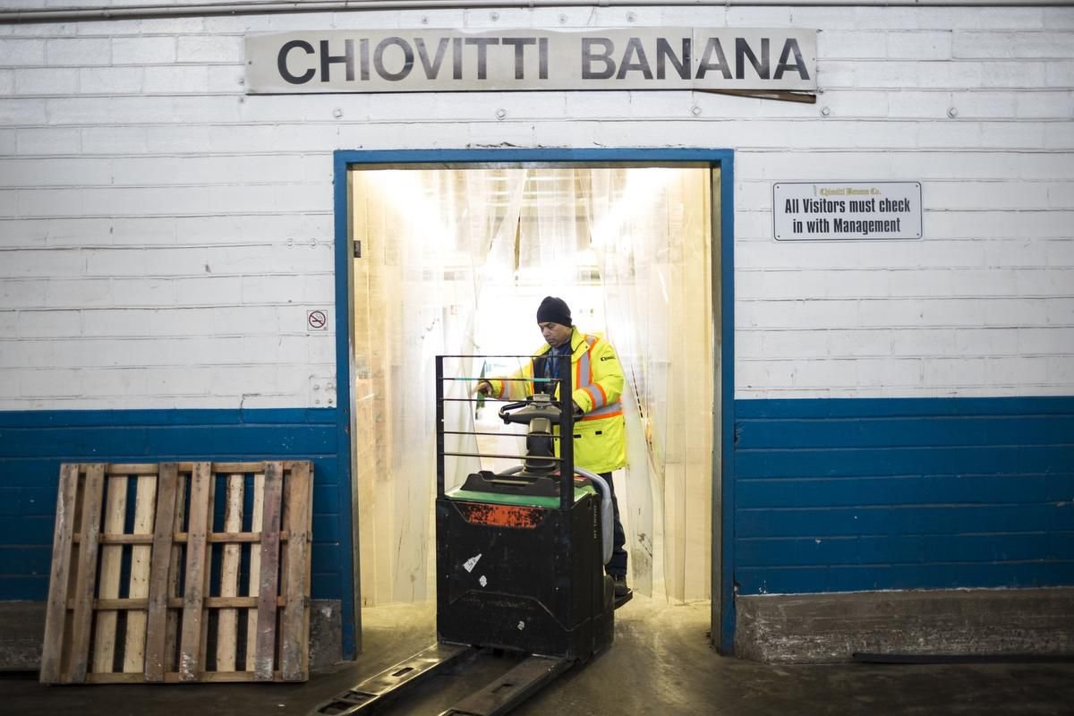 Fruit rotting faster in Ontario? Here's why