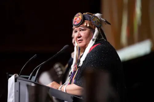 National Chief RoseAnne Archibald’s plight within the AFN is a show we’ve all seen before