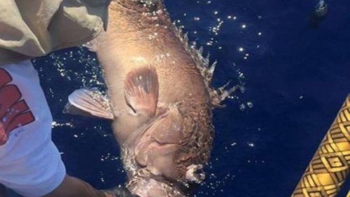 Federal jury in Charleston finds Lowcountry fisherman guilty of lying about his catch