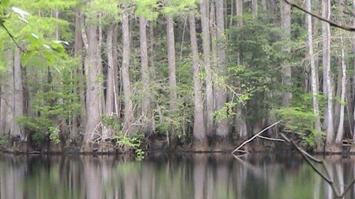 Planned SC highway imperils scenic, black water river, national report says