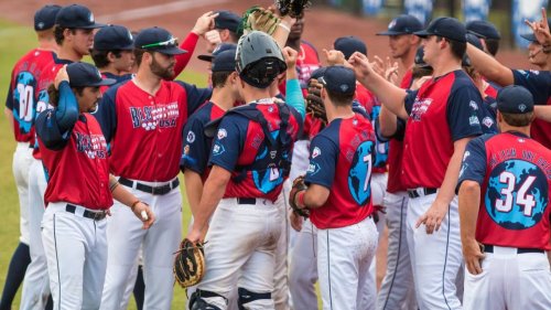 Lexington Blowfish baseball team gets the call: Play ball, with fans