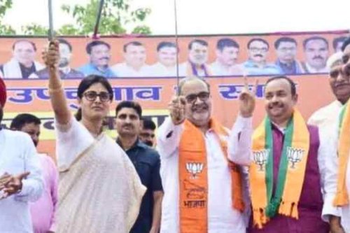 UP BJP confident of Muslim support to its Lok Sabha campaign - The Statesman
