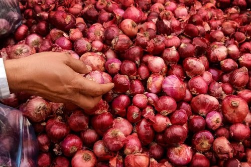 India allows export of 10,000 tonnes of onions to Lanka, grants more quota to UAE - The Statesman