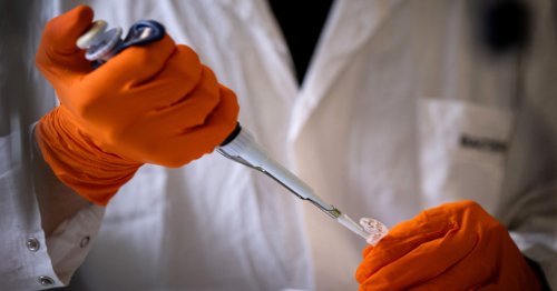 Tech boss uses AI and ChatGPT to make his dog a cancer vaccine