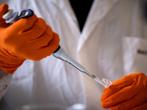 Tech boss uses AI and ChatGPT to make his dog a cancer vaccine