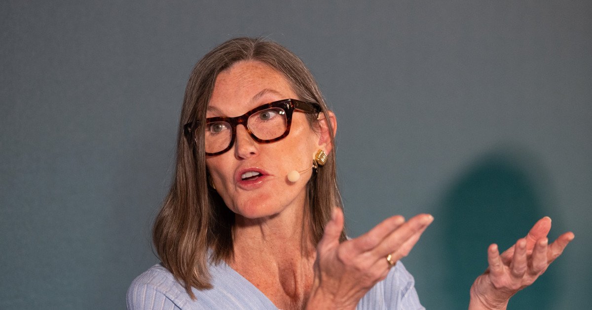 Cathie Wood dumps $8.46 million in software giant