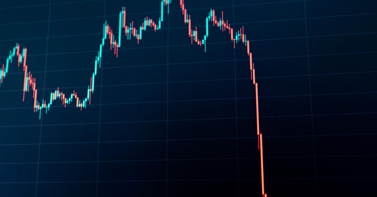 Crypto stock emerges as rare winner amid market crash