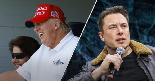 Elon Musk Addresses Donald Trump's Legal Troubles