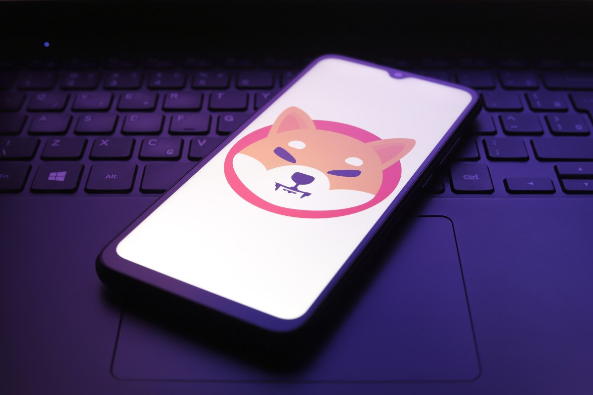 Shiba Inu’s Shibarium bridge hacked, token surges 42%