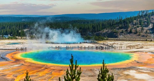 A volcano has opened up in a national park