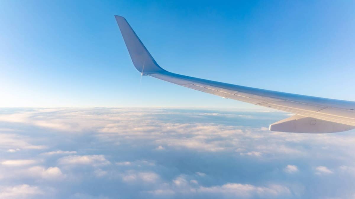Another airline cancels almost all U.S. flights due to low demand