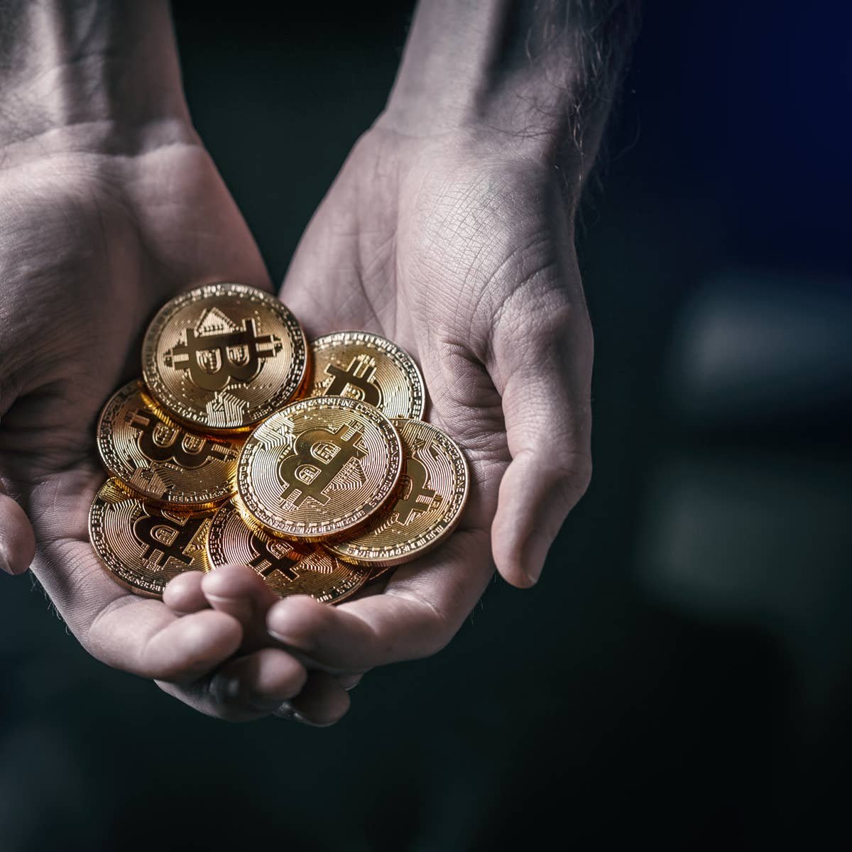 World's largest Bitcoin holder has never sold a single coin