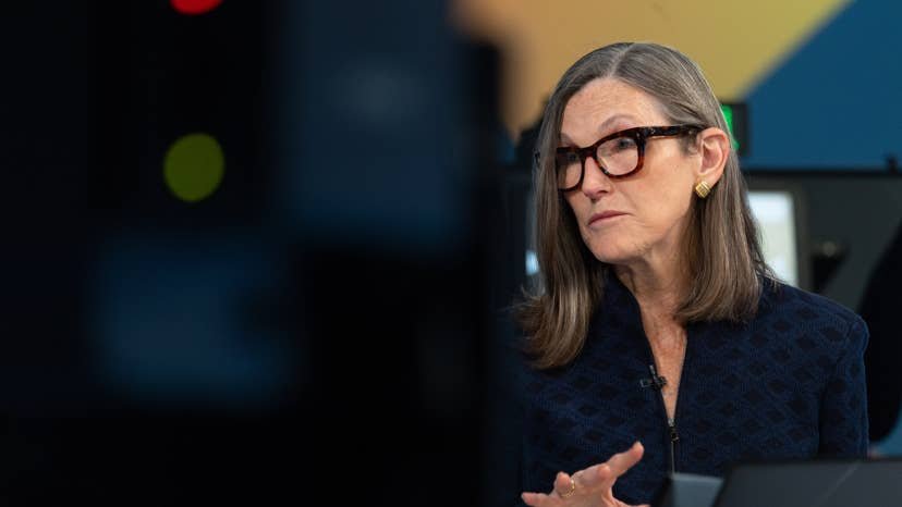 Cathie Wood-backed crypto stock drops over 90%